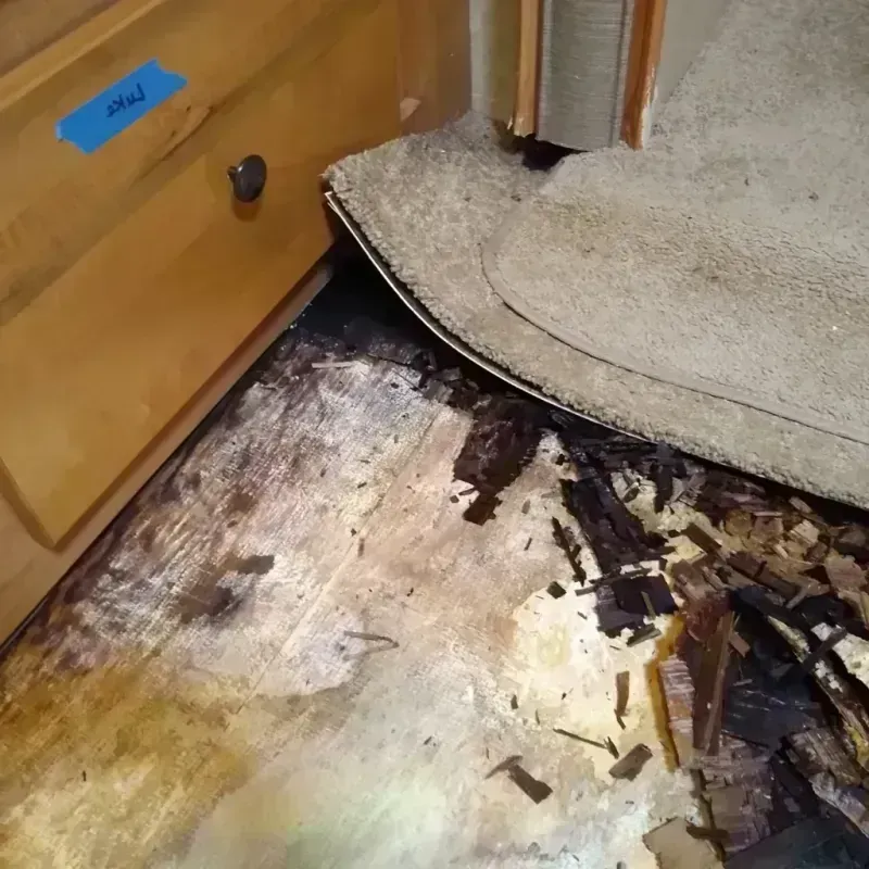 Wood Floor Water Damage in Sterling, AK